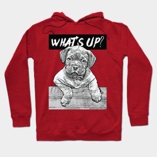 What's up? Hoodie